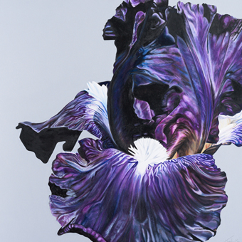 Natalie_Toplass_Fine_Art